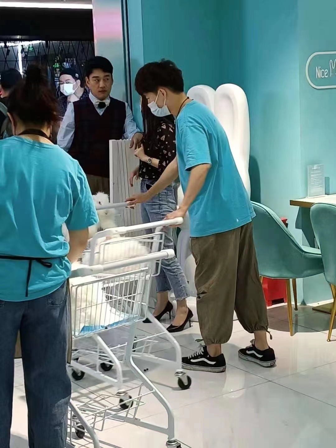 長(zhǎng)毛兔的種類(lèi)和飼養(yǎng)注意事項(xiàng)